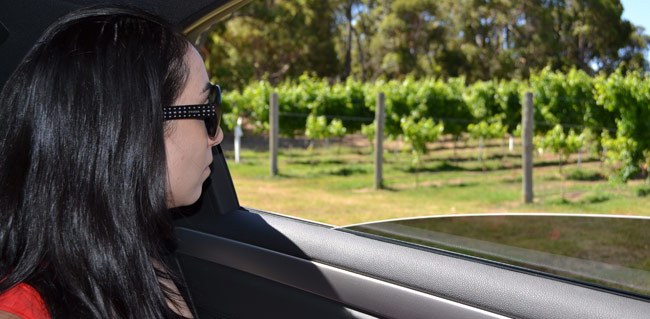 Tour the Swan Valley